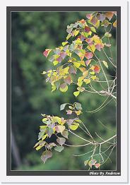 IMG_3286 * 542 x 802 * (227KB)
