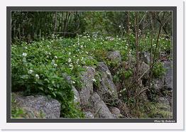 IMG_3287 * 792 x 542 * (249KB)