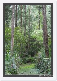 IMG_3291 * 542 x 802 * (248KB)