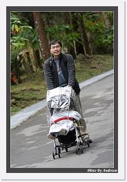 IMG_3293 * 542 x 802 * (247KB)