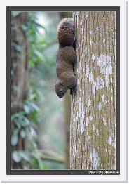 IMG_3317 * 542 x 802 * (231KB)