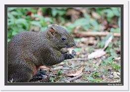 IMG_3321 * 792 x 542 * (240KB)