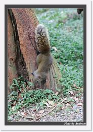 IMG_3329 * 542 x 802 * (245KB)