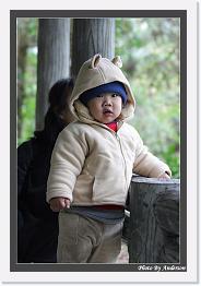 IMG_3355 * 542 x 802 * (241KB)
