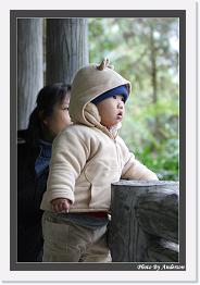 IMG_3356 * 542 x 802 * (241KB)