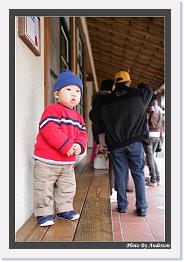 IMG_3371 * 542 x 802 * (214KB)