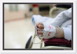 IMG_4192 * 892 x 608 * (221KB)