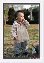 IMG_4342 * 608 x 908 * (238KB)