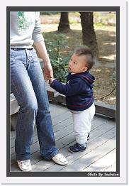 IMG_5122 * 608 x 908 * (242KB)