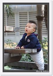IMG_5124 * 608 x 908 * (215KB)
