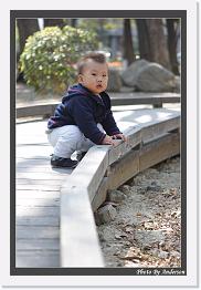 IMG_5147 * 608 x 908 * (240KB)