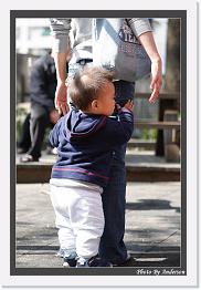 IMG_5183 * 608 x 908 * (241KB)