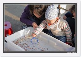 IMG_5250 * 892 x 608 * (250KB)
