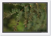 IMG_5746 * 892 x 608 * (226KB)