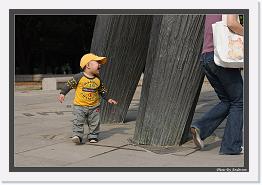 IMG_6772 * 892 x 608 * (245KB)