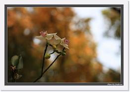 IMG_6828 * 892 x 608 * (213KB)