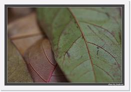 IMG_6836 * 892 x 608 * (221KB)