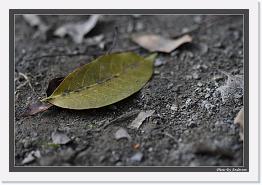 IMG_6856 * 892 x 608 * (242KB)