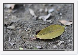 IMG_6859 * 892 x 608 * (236KB)