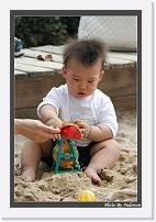 IMG_7033 * 608 x 908 * (249KB)