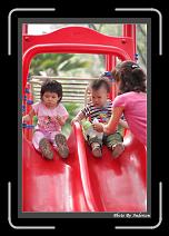 IMG_8929 * 608 x 908 * (244KB)