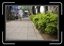 IMG_8977 * 892 x 608 * (219KB)