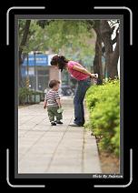 IMG_8981 * 608 x 908 * (216KB)