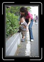 IMG_9027 * 608 x 908 * (232KB)