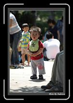 IMG_9172 * 608 x 908 * (232KB)