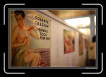 IMG_9703 * 892 x 608 * (220KB)