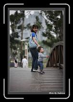 IMG_9754 * 608 x 908 * (232KB)
