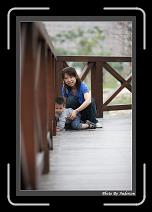 IMG_9764 * 608 x 908 * (207KB)