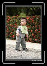 IMG_0205 * 608 x 908 * (240KB)