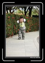 IMG_0215 * 608 x 908 * (240KB)