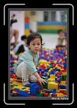 IMG_0328 * 608 x 908 * (232KB)