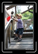IMG_0382 * 608 x 908 * (247KB)