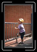 IMG_0407 * 608 x 908 * (246KB)