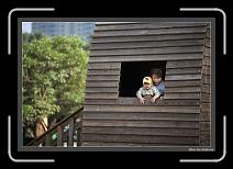 IMG_0442 * 892 x 608 * (233KB)