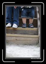 IMG_0450 * 608 x 908 * (220KB)