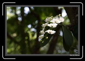 IMG_1662 * 892 x 608 * (224KB)