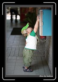 IMG_1703 * 608 x 908 * (235KB)