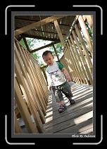 IMG_1881 * 608 x 908 * (239KB)