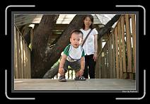IMG_1886 * 892 x 573 * (230KB)