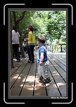 IMG_2001 * 608 x 908 * (245KB)