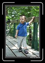 IMG_2007 * 608 x 908 * (248KB)