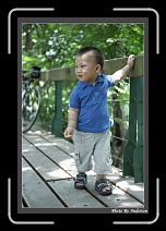 IMG_2008 * 608 x 908 * (240KB)