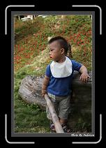 IMG_2058 * 608 x 908 * (238KB)