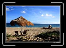 IMG_2641-1 * 892 x 608 * (246KB)