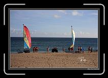 IMG_2665 * 892 x 608 * (249KB)