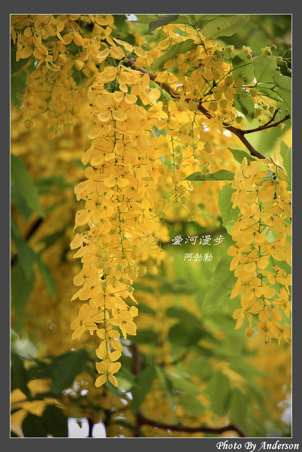 下一張幻燈片